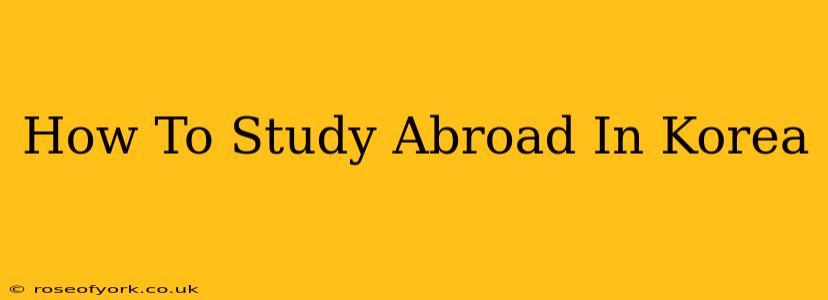 How To Study Abroad In Korea