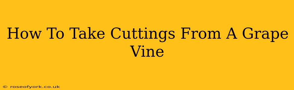 How To Take Cuttings From A Grape Vine