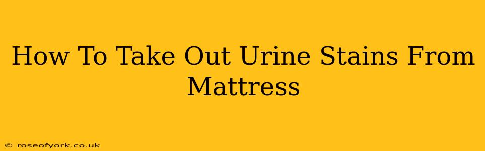 How To Take Out Urine Stains From Mattress