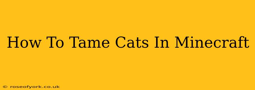 How To Tame Cats In Minecraft