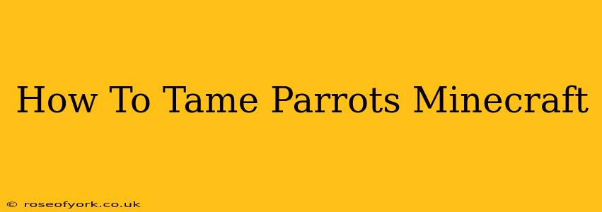 How To Tame Parrots Minecraft