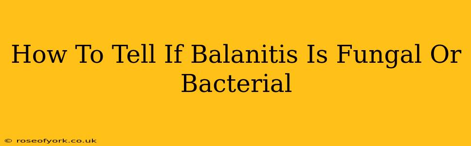 How To Tell If Balanitis Is Fungal Or Bacterial