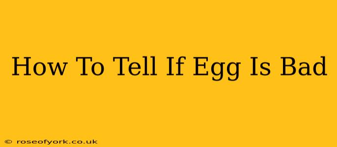 How To Tell If Egg Is Bad