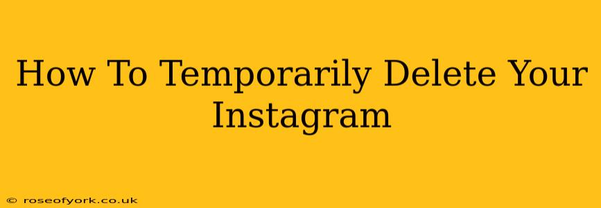 How To Temporarily Delete Your Instagram