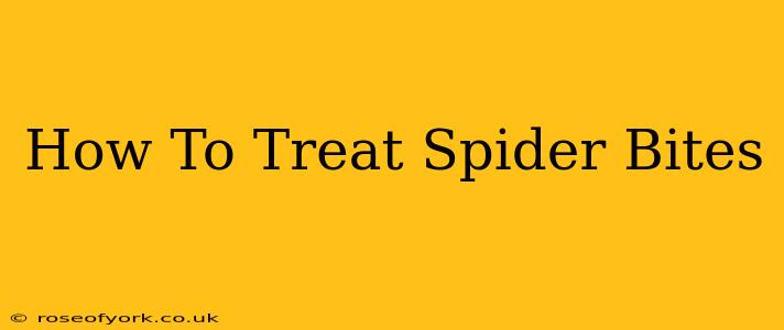 How To Treat Spider Bites