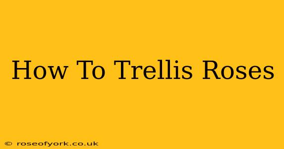 How To Trellis Roses