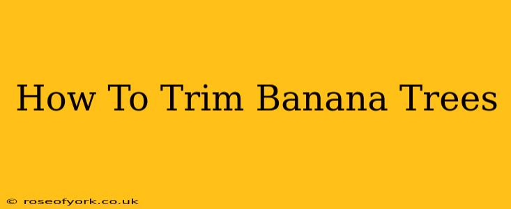 How To Trim Banana Trees