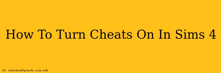 How To Turn Cheats On In Sims 4