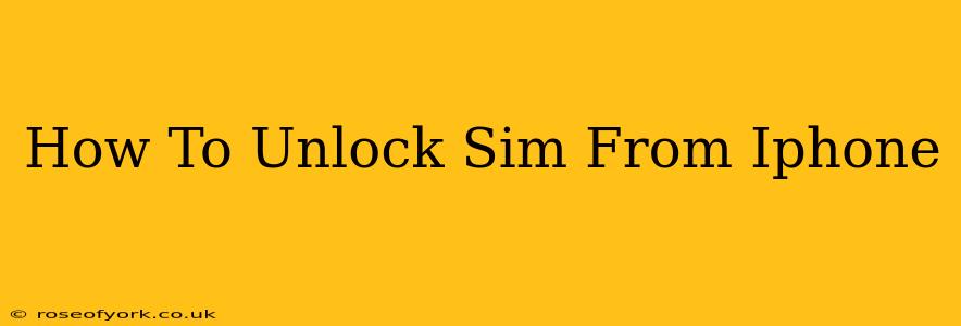 How To Unlock Sim From Iphone