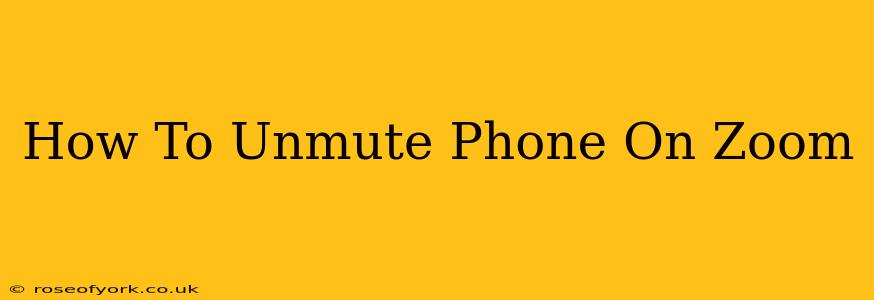 How To Unmute Phone On Zoom