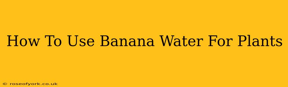 How To Use Banana Water For Plants