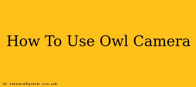 How To Use Owl Camera