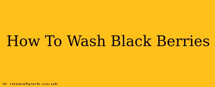 How To Wash Black Berries