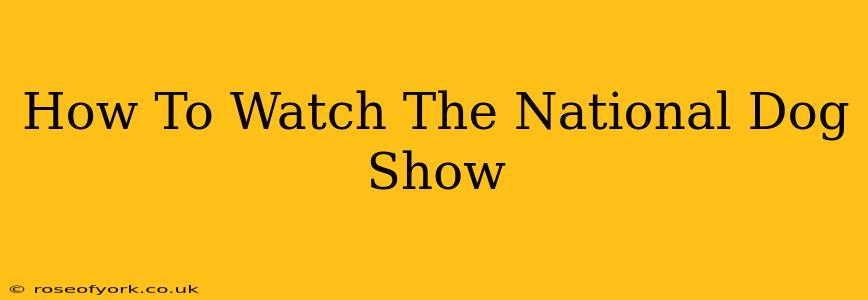 How To Watch The National Dog Show