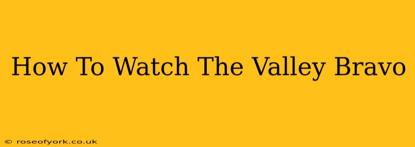 How To Watch The Valley Bravo