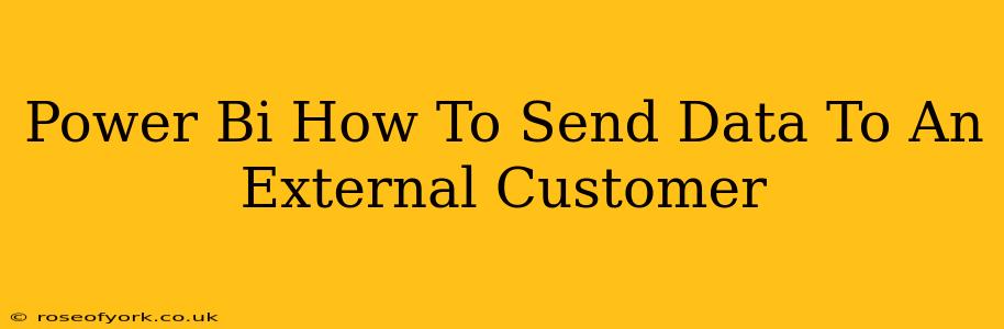 Power Bi How To Send Data To An External Customer