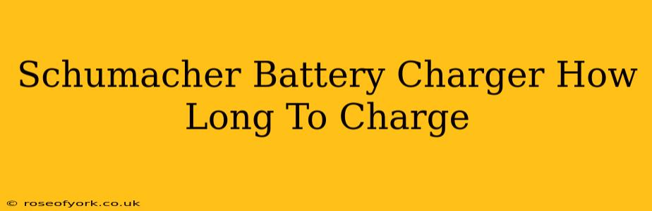 Schumacher Battery Charger How Long To Charge