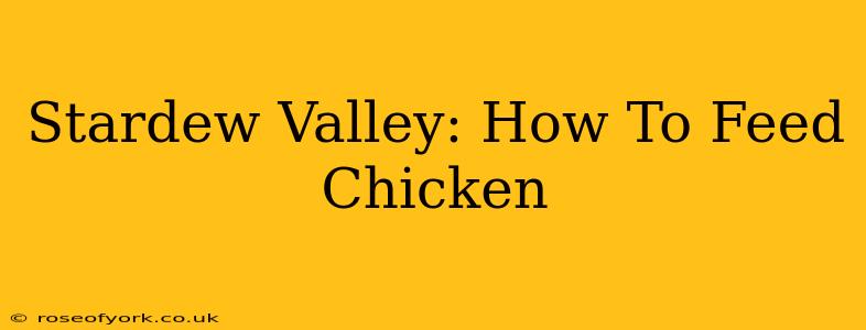 Stardew Valley: How To Feed Chicken