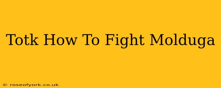 Totk How To Fight Molduga