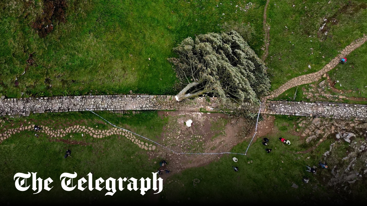 Was Grudge Behind Sycamore Gap Destruction?